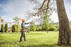 Best Tree Risk Assessment  in Shady Shores, TX